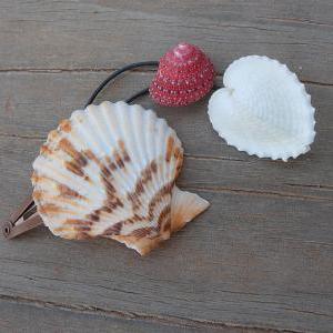 Scallop Hair Clip With Heart Cockle And Strawberry..