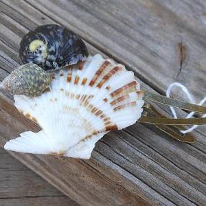 Scallop Hair Clip - Handmade Seashell Hair..