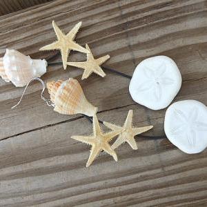 Seashell Earrings - Kings Crown With Sand Dollars..