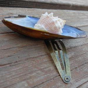 Seashell Hair Clip - Blue Mussel Seashell -..