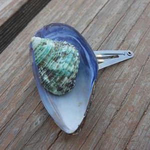 Seashell Hair Clip - Blue Mussel Seashell -..
