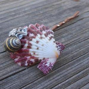 Seashell Hair Clip Handmade Head Piece Natural..