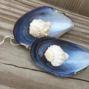 Seashell Earrings - Blue Mussel Shell And Kings..