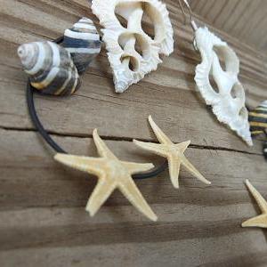 Seashell Earrings With Spine Shells Bumblebee..