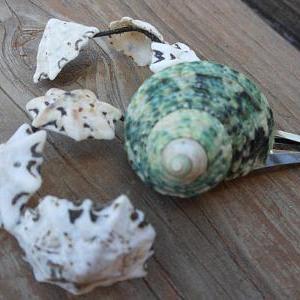 Seashell Hair Clip - Handmade Nautical Themed Hair..