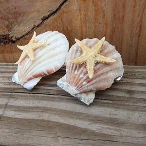 Starfish Hair Barrette - Scallop Seashells -..