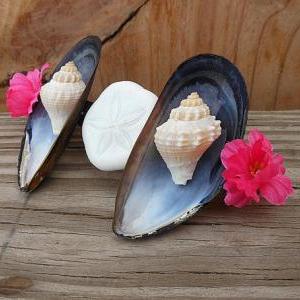 Mussel Seashell Hair Barrette - Handmade Hair..