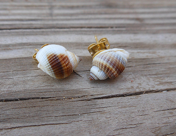 Seashell Stud Earrings - Tiny Brown And White Seashells - Nautical Earrings - Handmade Jewelry