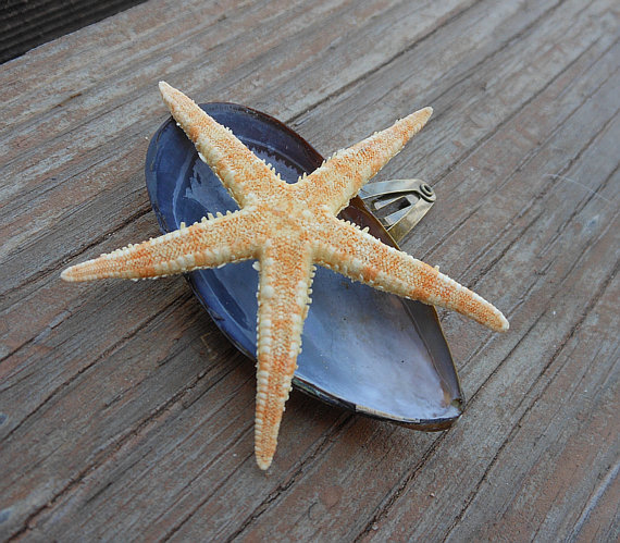 Seashell Hair Clip - Blue Mussel Seashell - Nautical And Beach Themed Hair Accessory - Handmade - Starfish Accessory