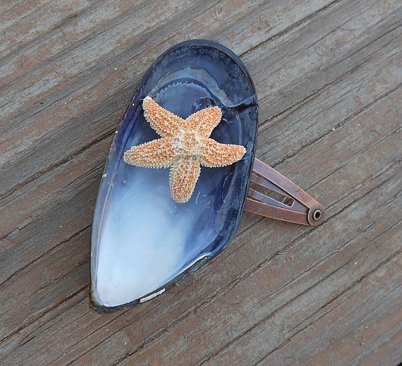 Seashell Hair Clip - Blue Mussel Seashell - Nautical And Beach Themed Hair Accessory - Handmade - Sugar Starfish Accessory