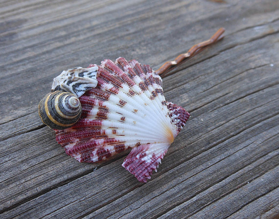 Seashell Hair Clip Handmade Head Piece Natural Seashell With Bobby Pin