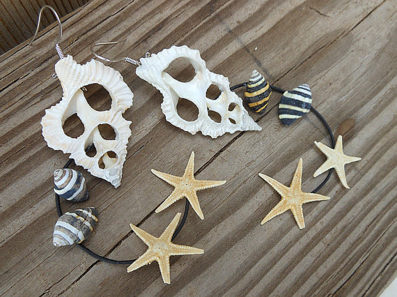 Seashell Earrings With Spine Shells Bumblebee Seashells And Starfish