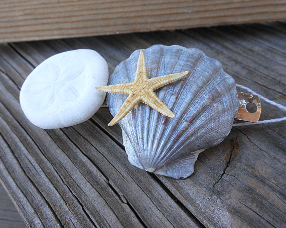Seashell Barrette Handmade Hair Accessory Design Using Natural Scallop Sand Dollar And Starfish