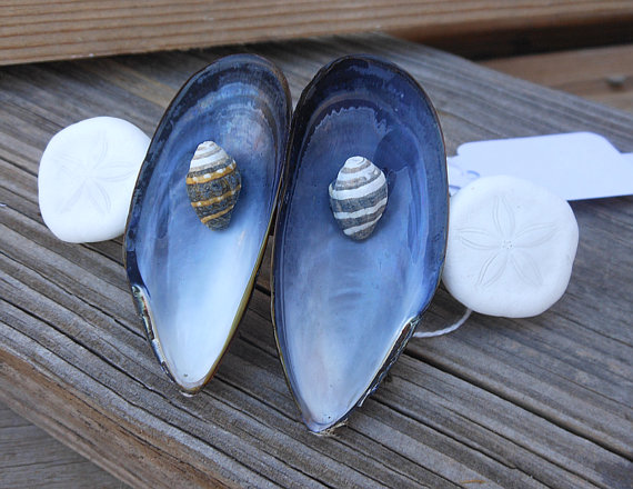 Seashell Barrette Handmade Hair Accessory Design Using Natural Blue Mussels And Sand Dollar Shells With French Style Hair Barrette