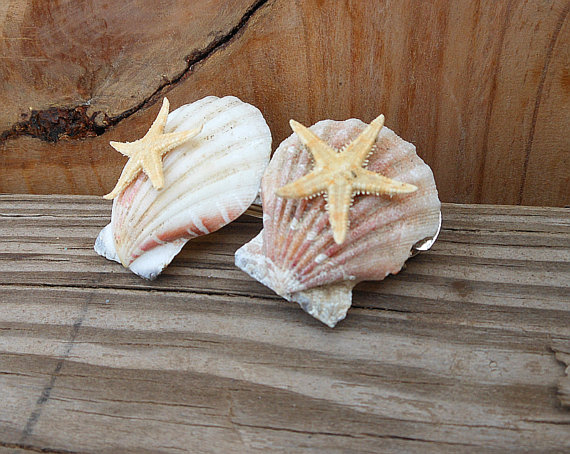 Starfish Hair Barrette - Scallop Seashells - Natural Shells - Handmade Hair Accessory - French Barrette